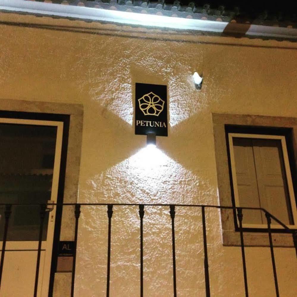 Petunia - Guest House Cascais Ngoại thất bức ảnh